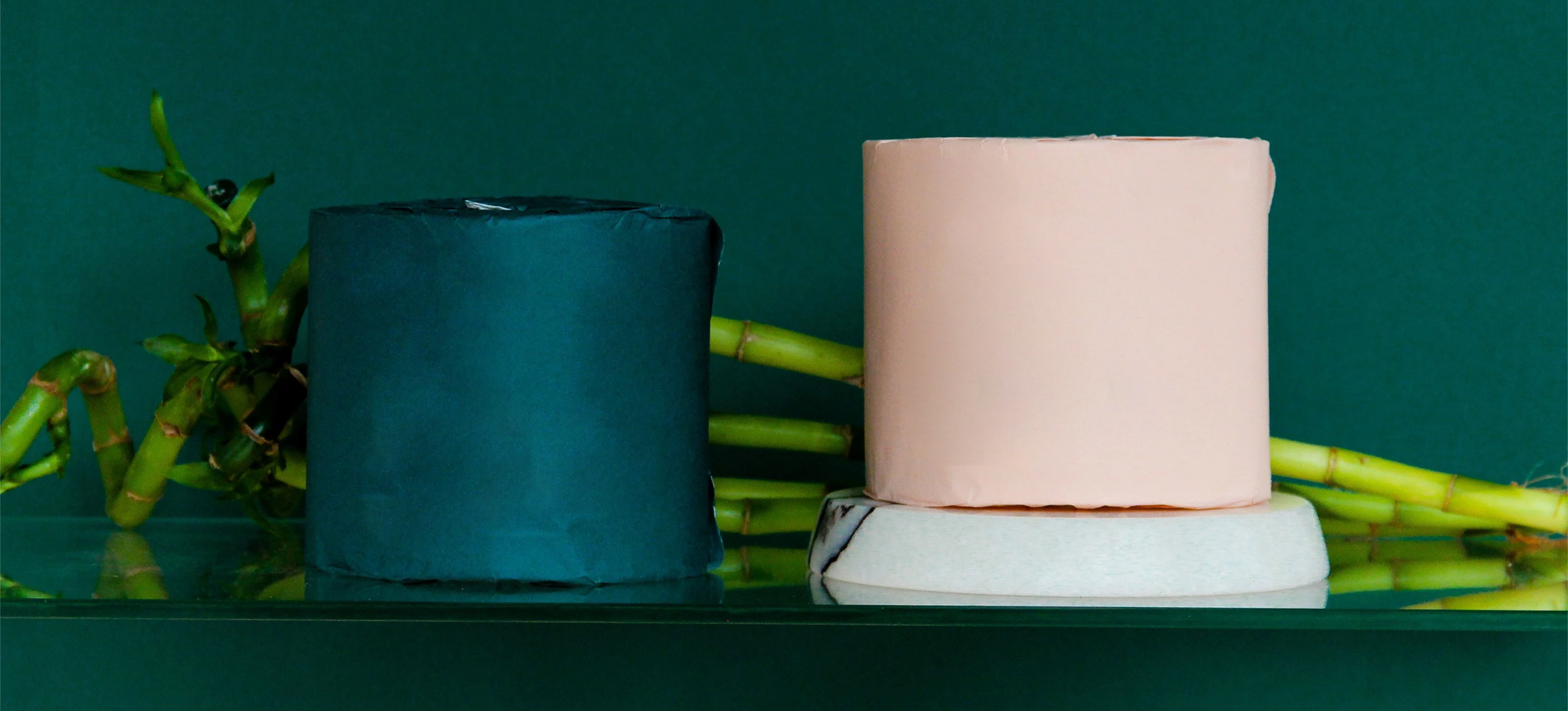 biopact-banner