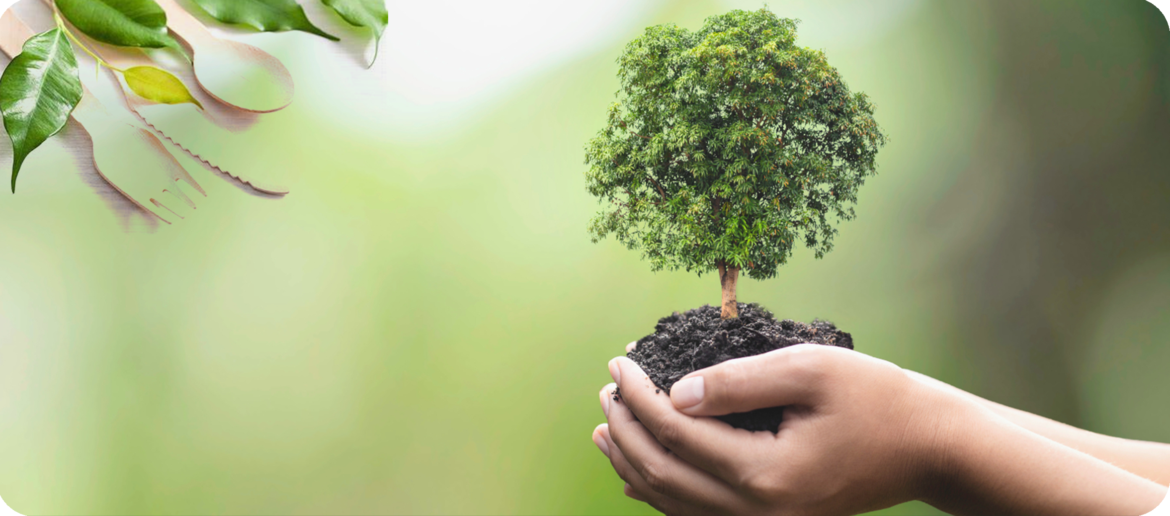 Biopace banner image 02